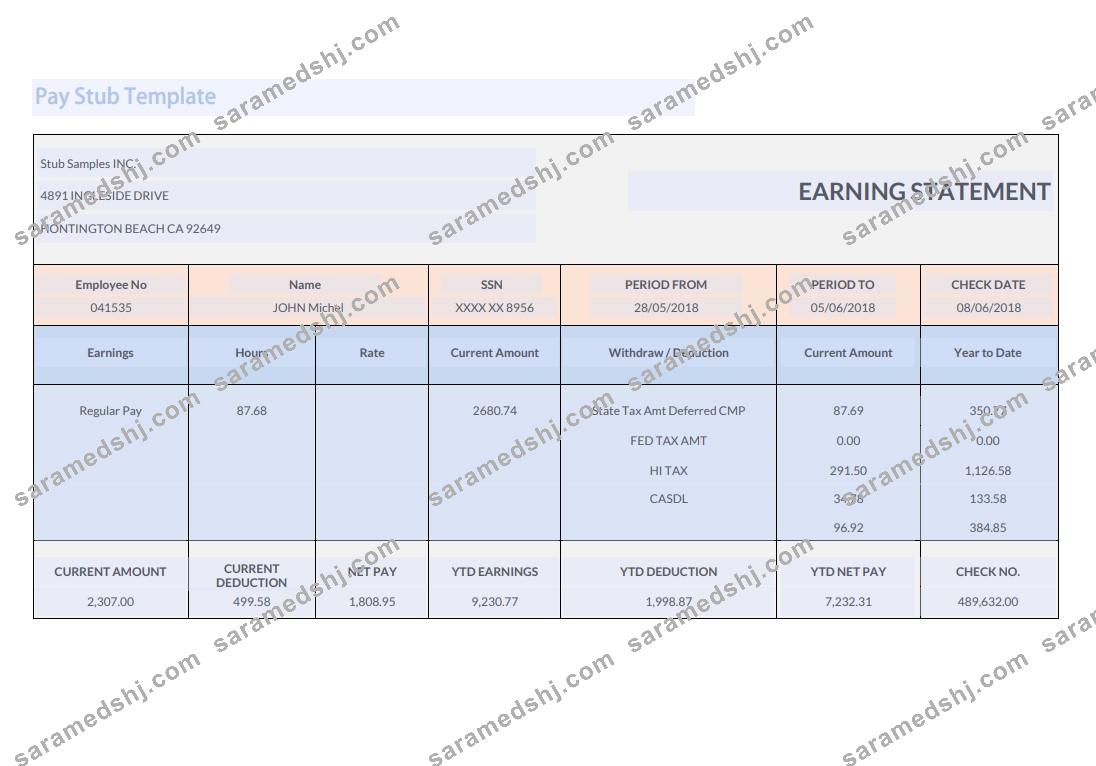 Stub Samples INC earnings statement Template